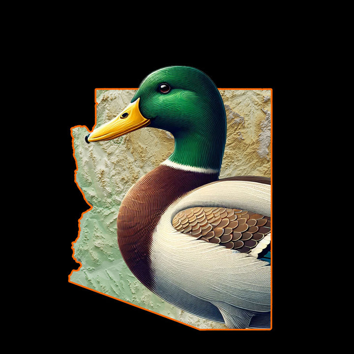 Arizona - Duck