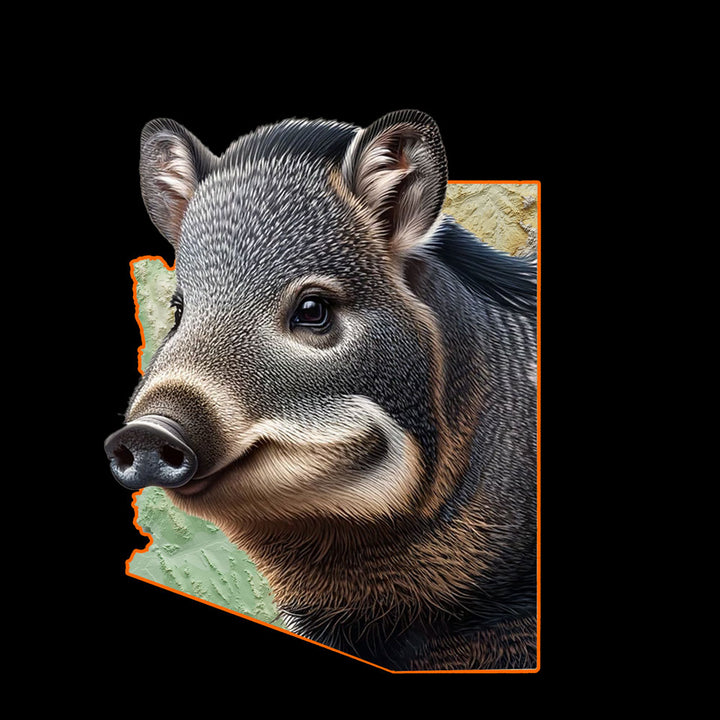 Arizona - Javelina